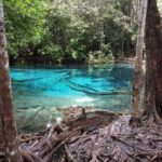 Blue pool
