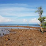 Kamenitý záliv na Langkawi