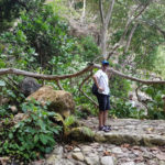Spadlá větev u vodopádu Temeling, Nusa Penida, Bali,